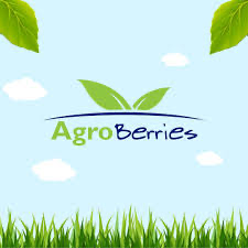 Agroberries